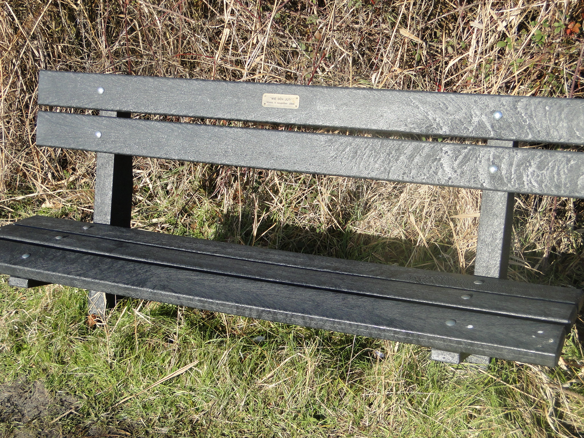 NWK 2010 209.jpg